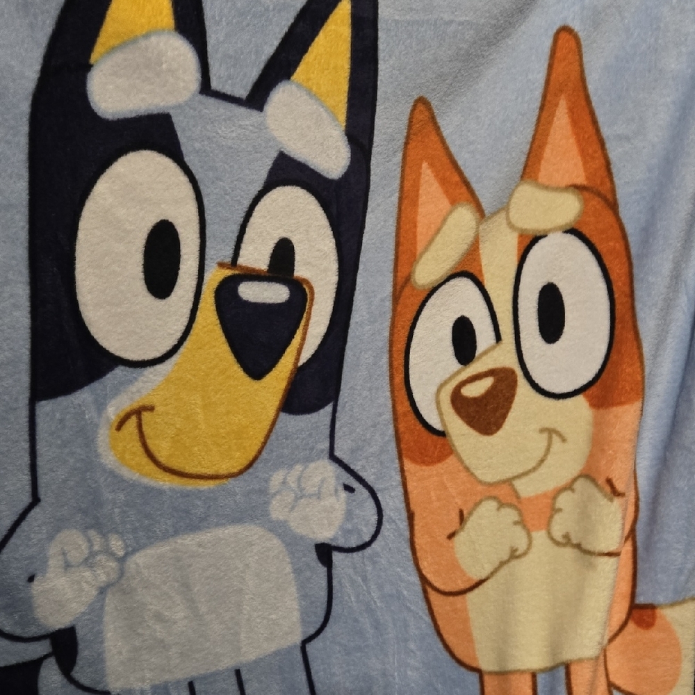 Bluey Bundle - Picture 3 of 5